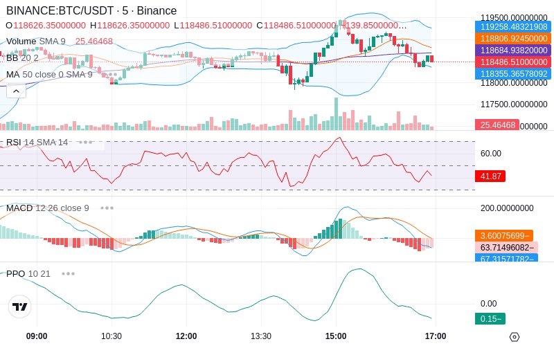 Rent this Ad Spot✨