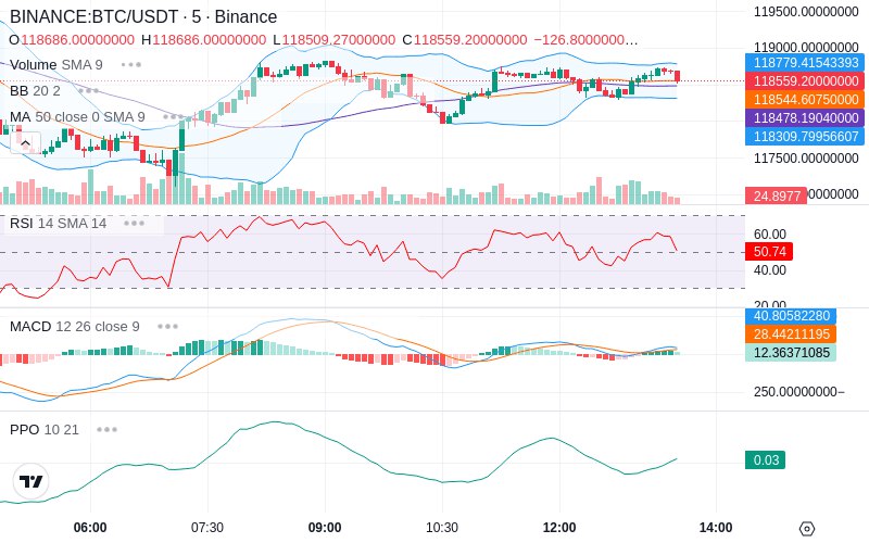 Rent this Ad Spot✨