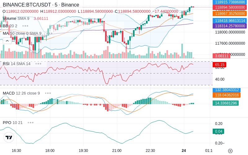 Rent this Ad Spot✨