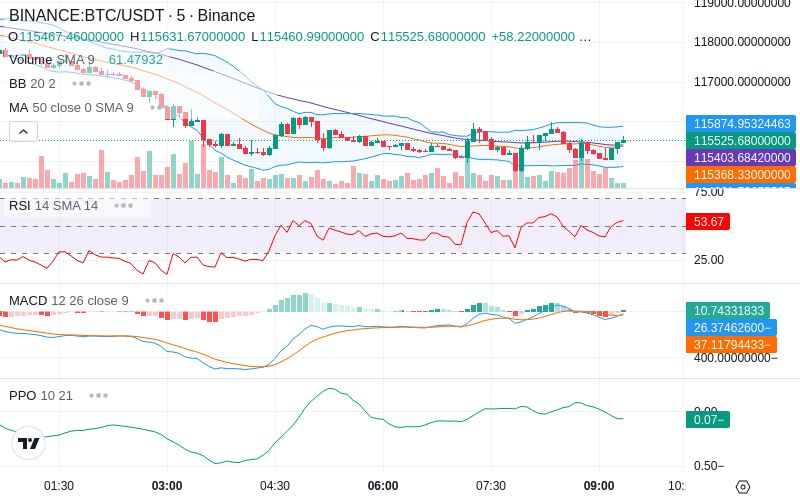 Leverage Your Profits🚀