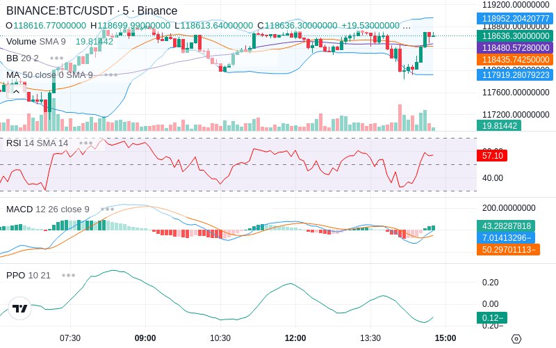 Rent this Ad Spot✨