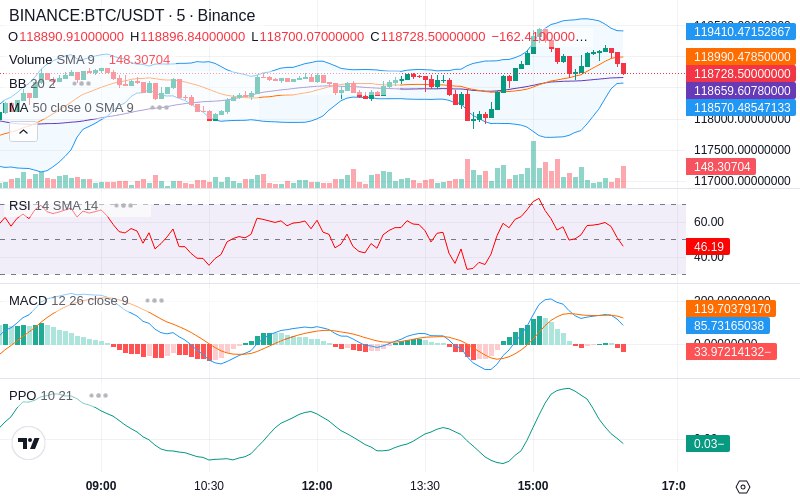 Rent this Ad Spot✨