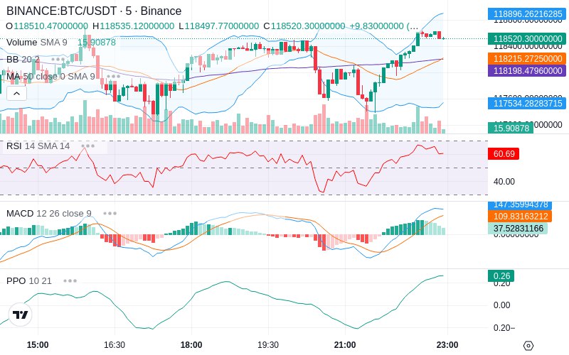 Leverage Your Profits🚀