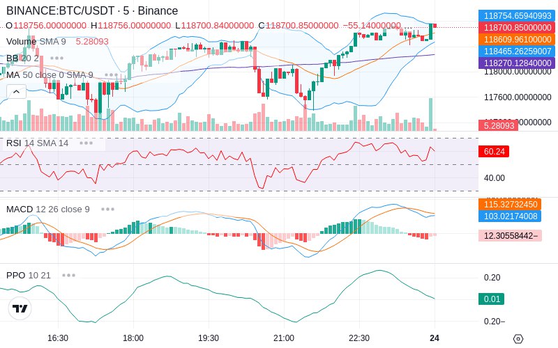 Rent this Ad Spot✨