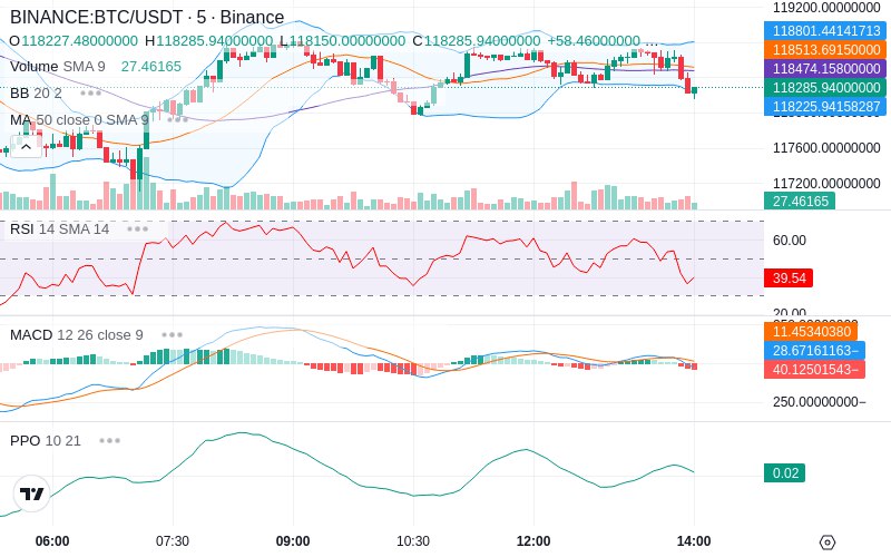 Rent this Ad Spot✨