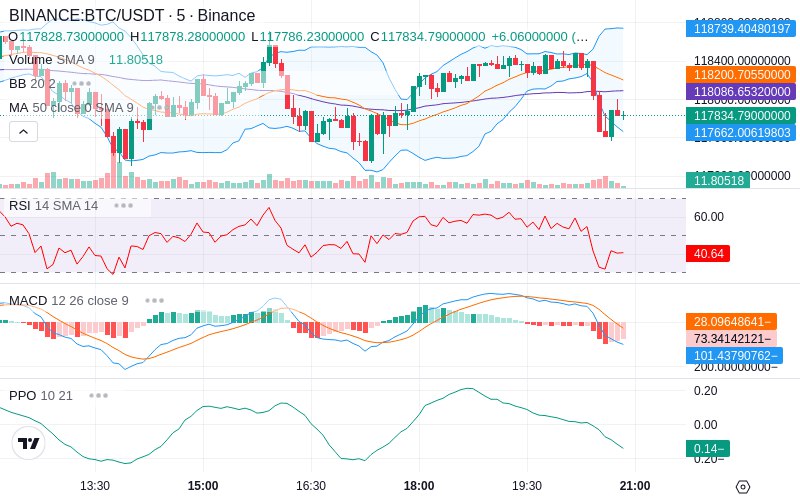 Rent this Ad Spot✨