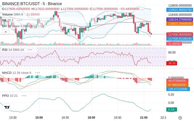 Rent this Ad Spot✨