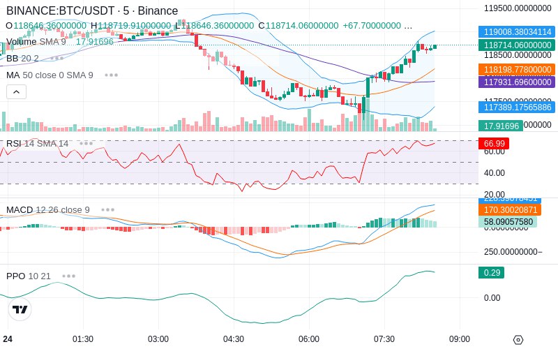 Rent this Ad Spot✨