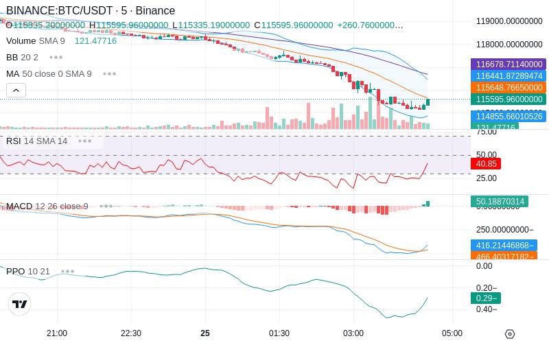 Rent this Ad Spot✨