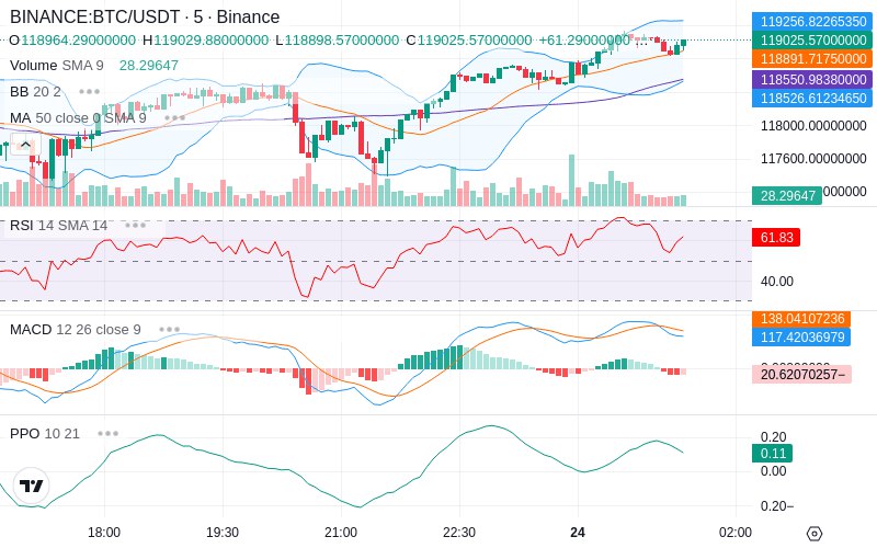 Leverage Your Profits🚀