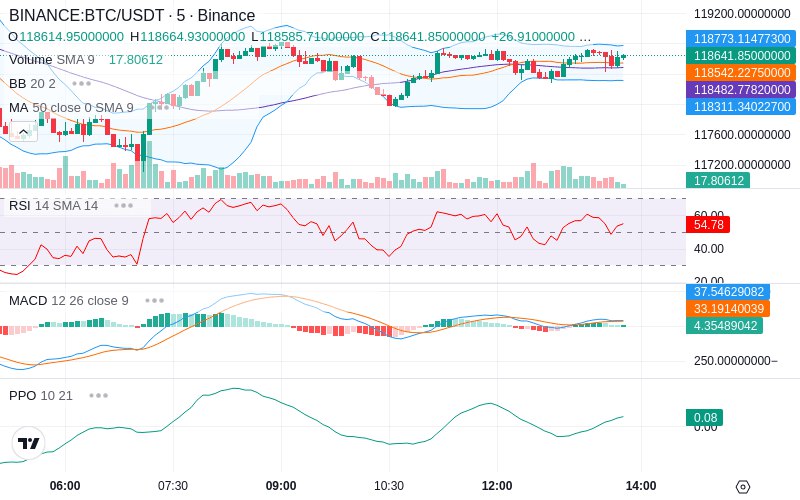 Leverage Your Profits🚀