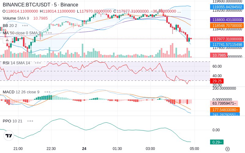 Leverage Your Profits🚀