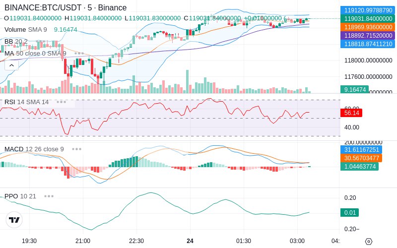 Rent this Ad Spot✨