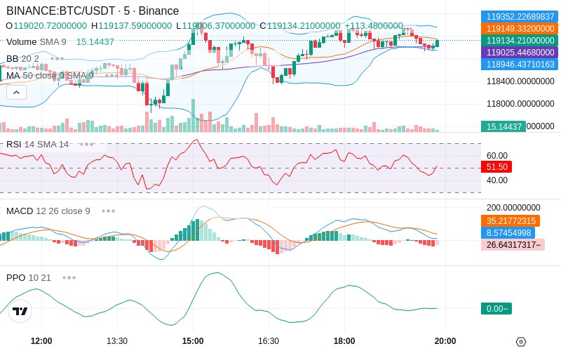 Rent this Ad Spot✨