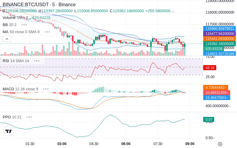 Rent this Ad Spot✨