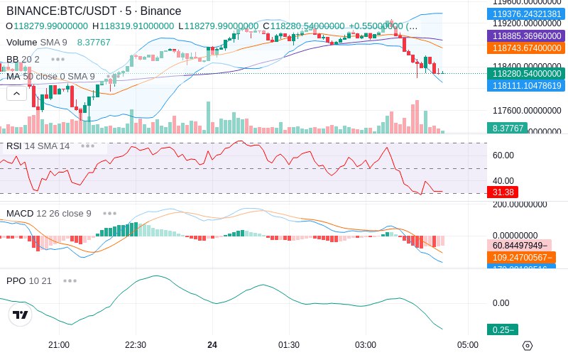 Rent this Ad Spot✨