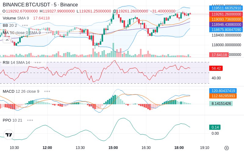 Rent this Ad Spot✨