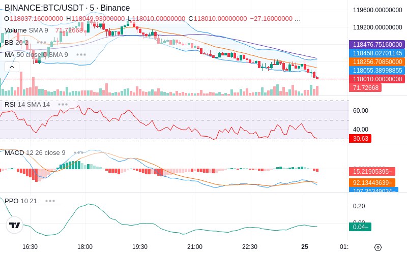 Rent this Ad Spot✨