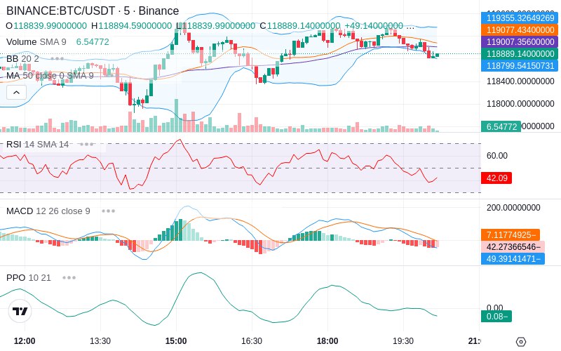 Rent this Ad Spot✨