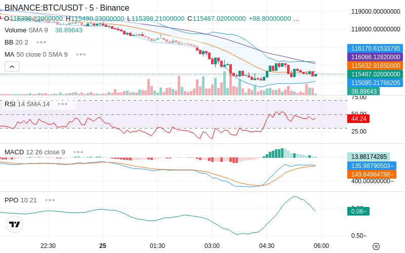 Leverage Your Profits🚀