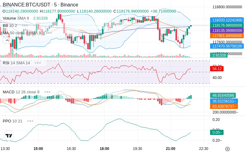 Rent this Ad Spot✨