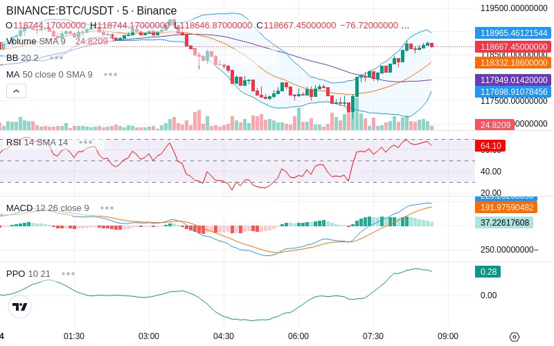 Rent this Ad Spot✨