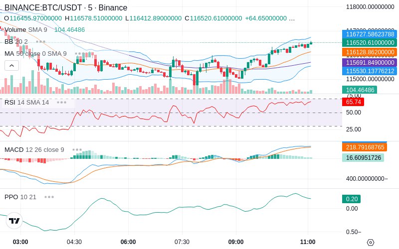 Rent this Ad Spot✨