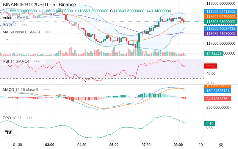 Rent this Ad Spot✨