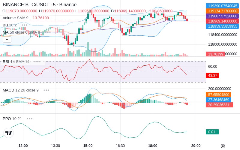 Leverage Your Profits🚀