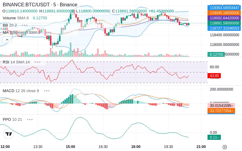 Leverage Your Profits🚀