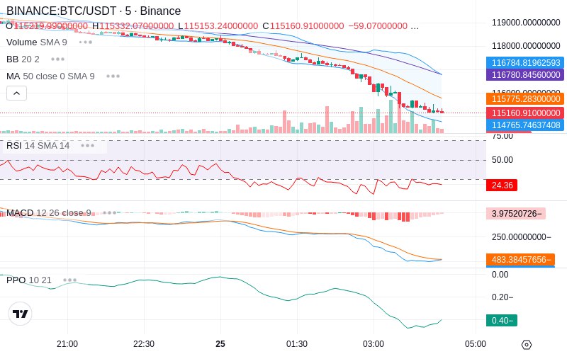 Rent this Ad Spot✨