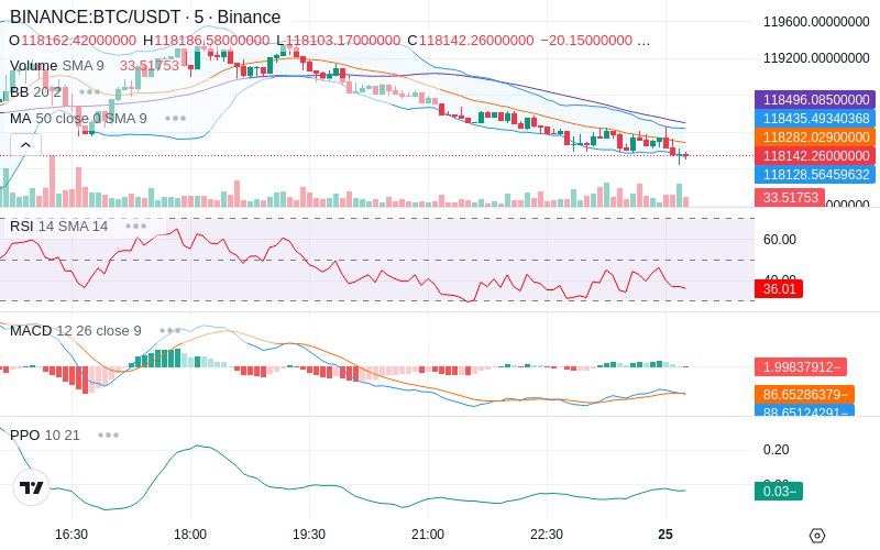 Join our News Channel🔥