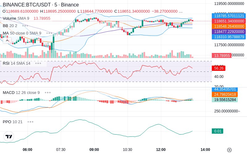 Rent this Ad Spot✨