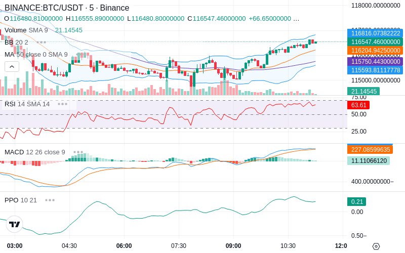 Rent this Ad Spot✨