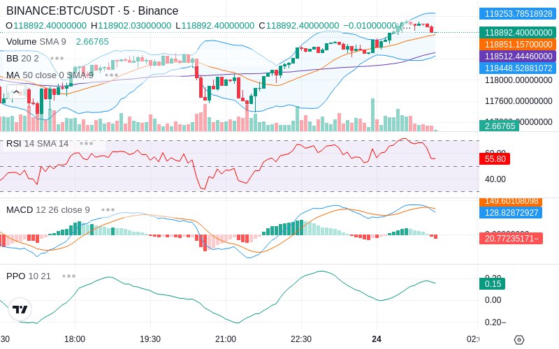 Rent this Ad Spot✨