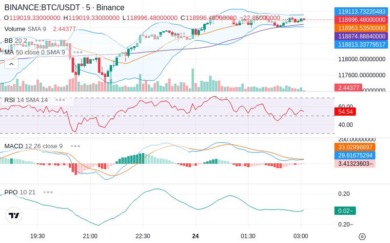 Leverage Your Profits🚀