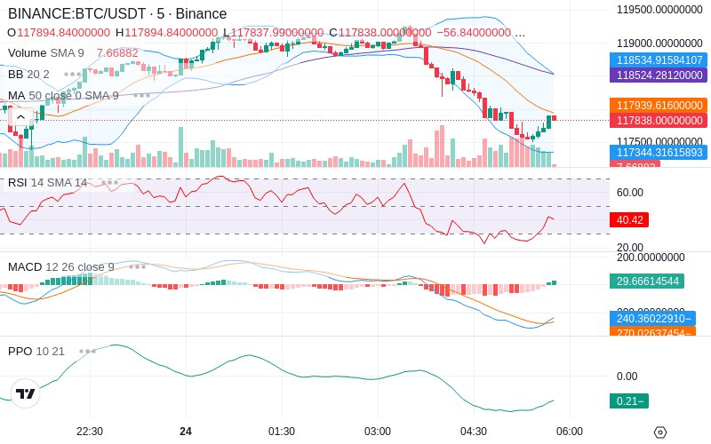 Rent this Ad Spot✨