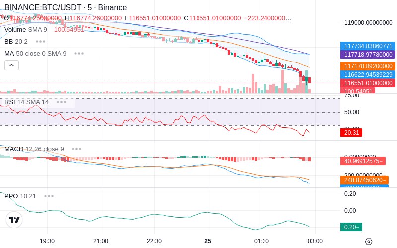 Rent this Ad Spot✨