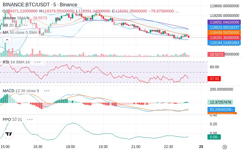 Leverage Your Profits🚀