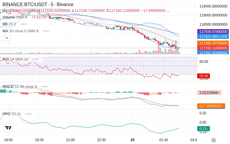 Leverage Your Profits🚀