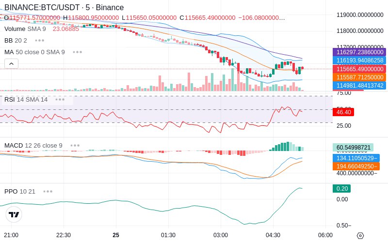 Leverage Your Profits🚀