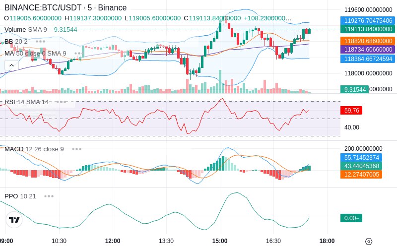 Rent this Ad Spot✨