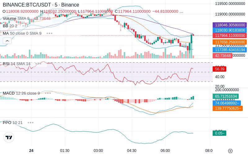 Leverage Your Profits🚀