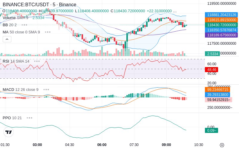 Rent this Ad Spot✨