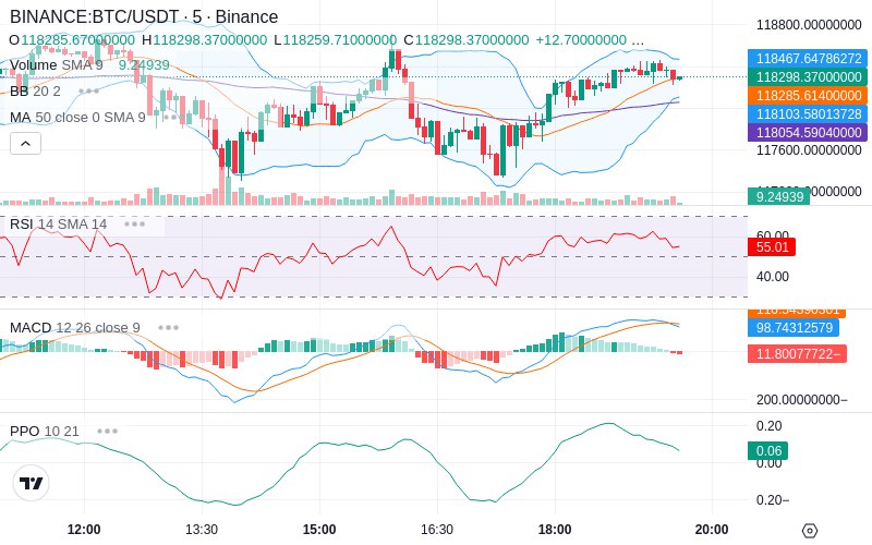 Rent this Ad Spot✨