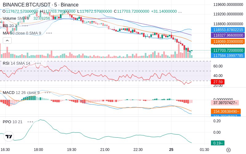 Leverage Your Profits🚀