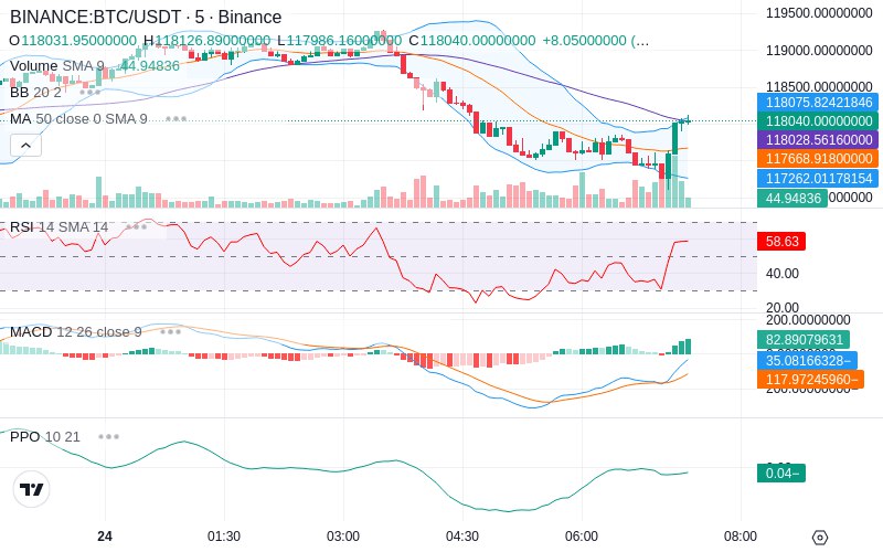 Rent this Ad Spot✨