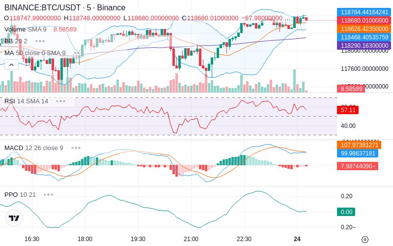 Rent this Ad Spot✨