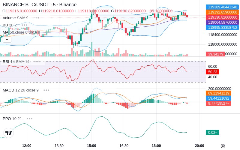 Rent this Ad Spot✨