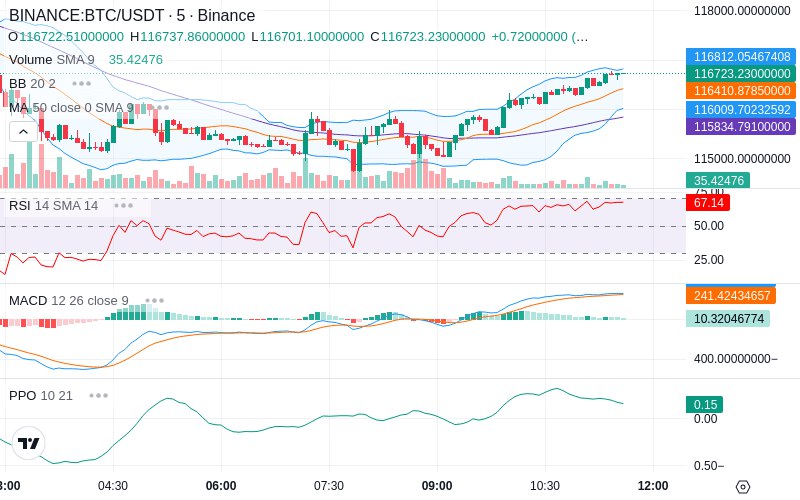 Leverage Your Profits🚀